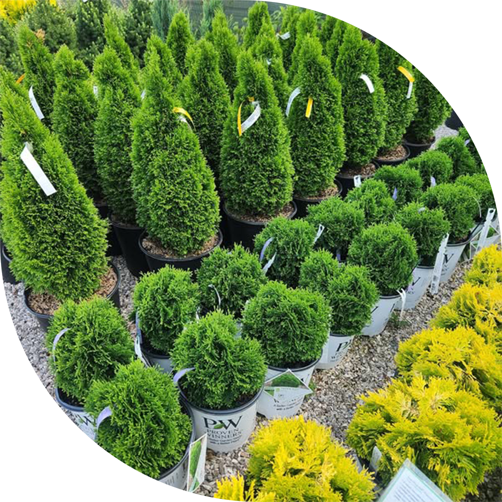 Snows-Contractor-Services-02