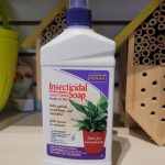 Bonide Insecticidal Soap Houseplant