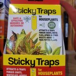 Sticky Traps