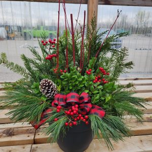 Winter Greenery & Accents